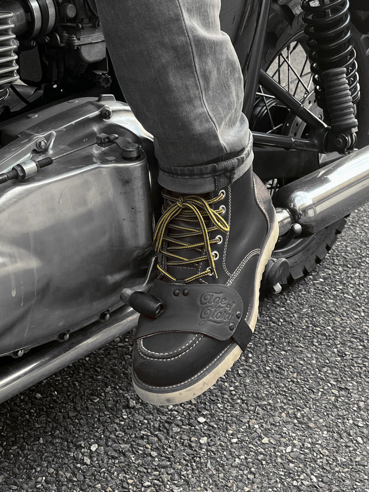 Age of Glory Show Protector - Black - Salt Flats Clothing